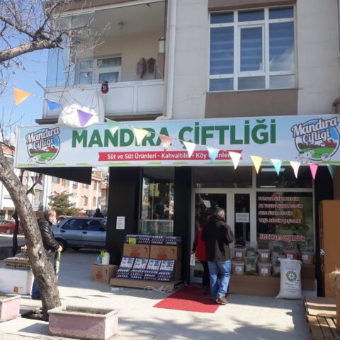 MANDIRA ÇİFLİĞİ